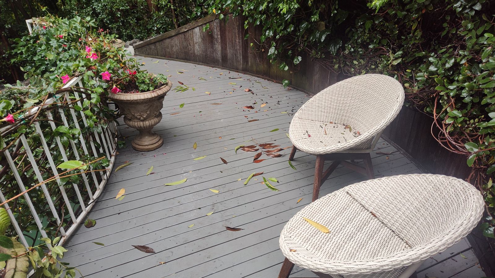 Curved backyard deck freshly repainted, furniture back in place